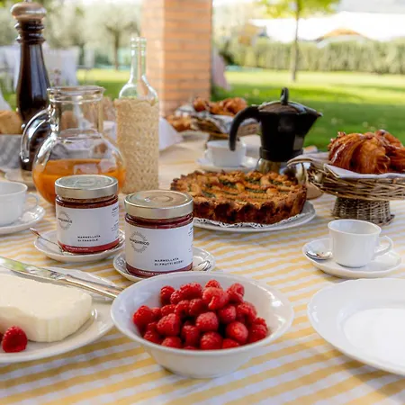 Holiday home Podere Di Piero