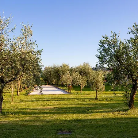 Holiday home Podere Di Piero *