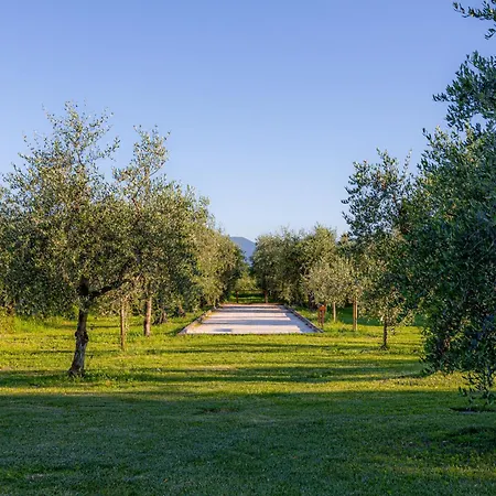 Holiday home Podere Di Piero Lucca