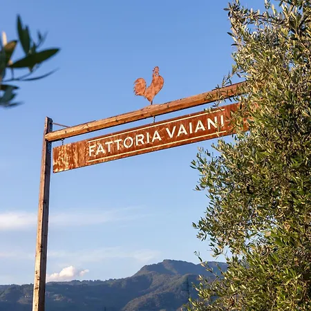 Holiday home Podere Di Piero